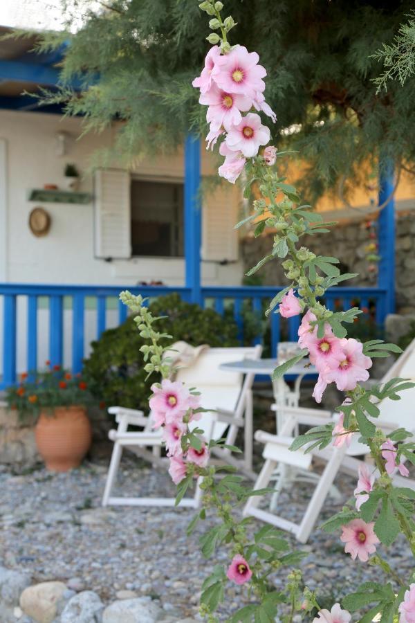 Little Blue Βίλα Káto Zákros Εξωτερικό φωτογραφία